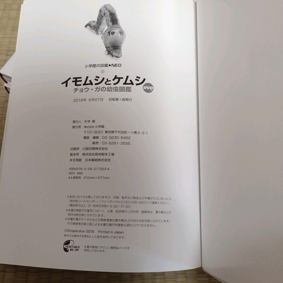小学館の図鑑NEO［新版］DVD付き　セット