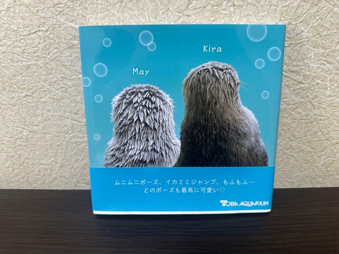 ラッコのメイとキラ 写真集 鳥羽水族館