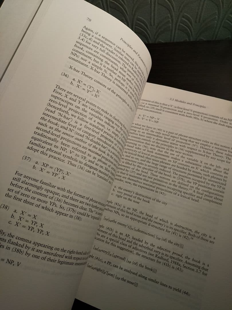 〈洋書〉児童統語論：原理とパラメータ理論入門／☆書き込み無し保証