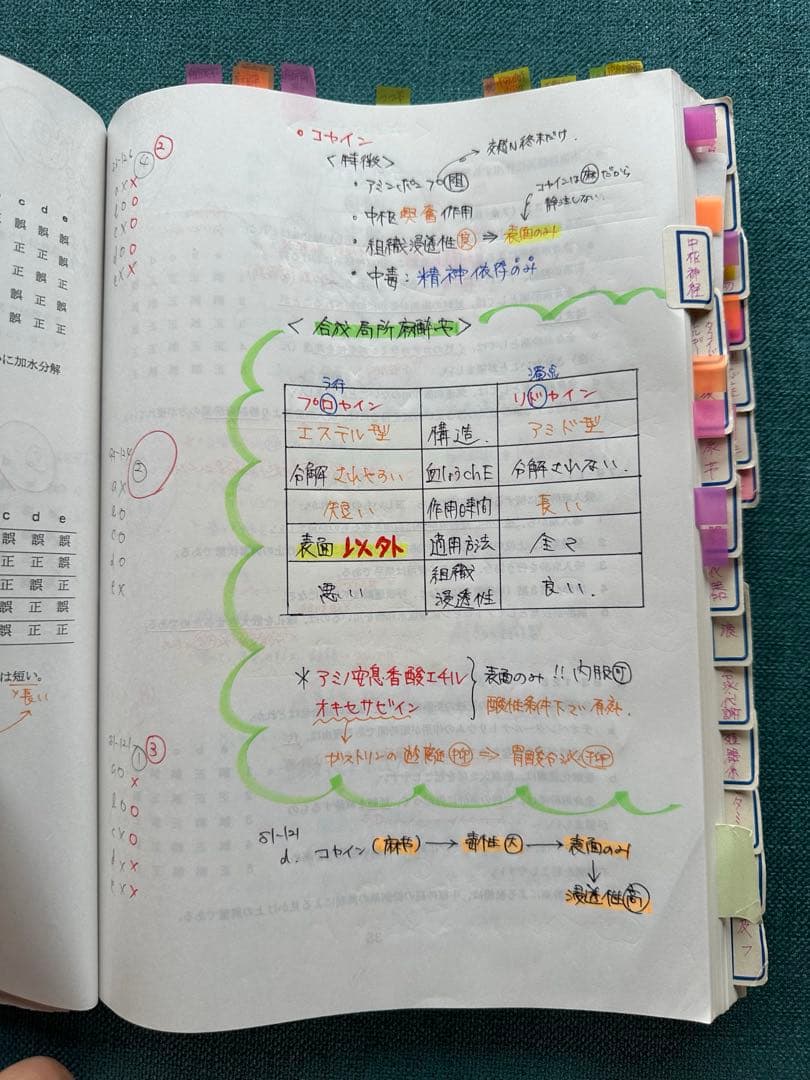 2010年版薬剤師国家試験　過去問集 教科書 6冊セット