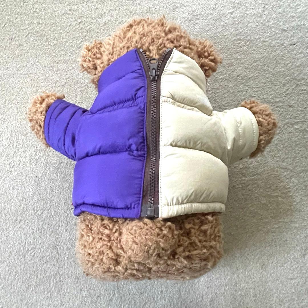 【10→20％OFF】Supreme x The North Face Bear
