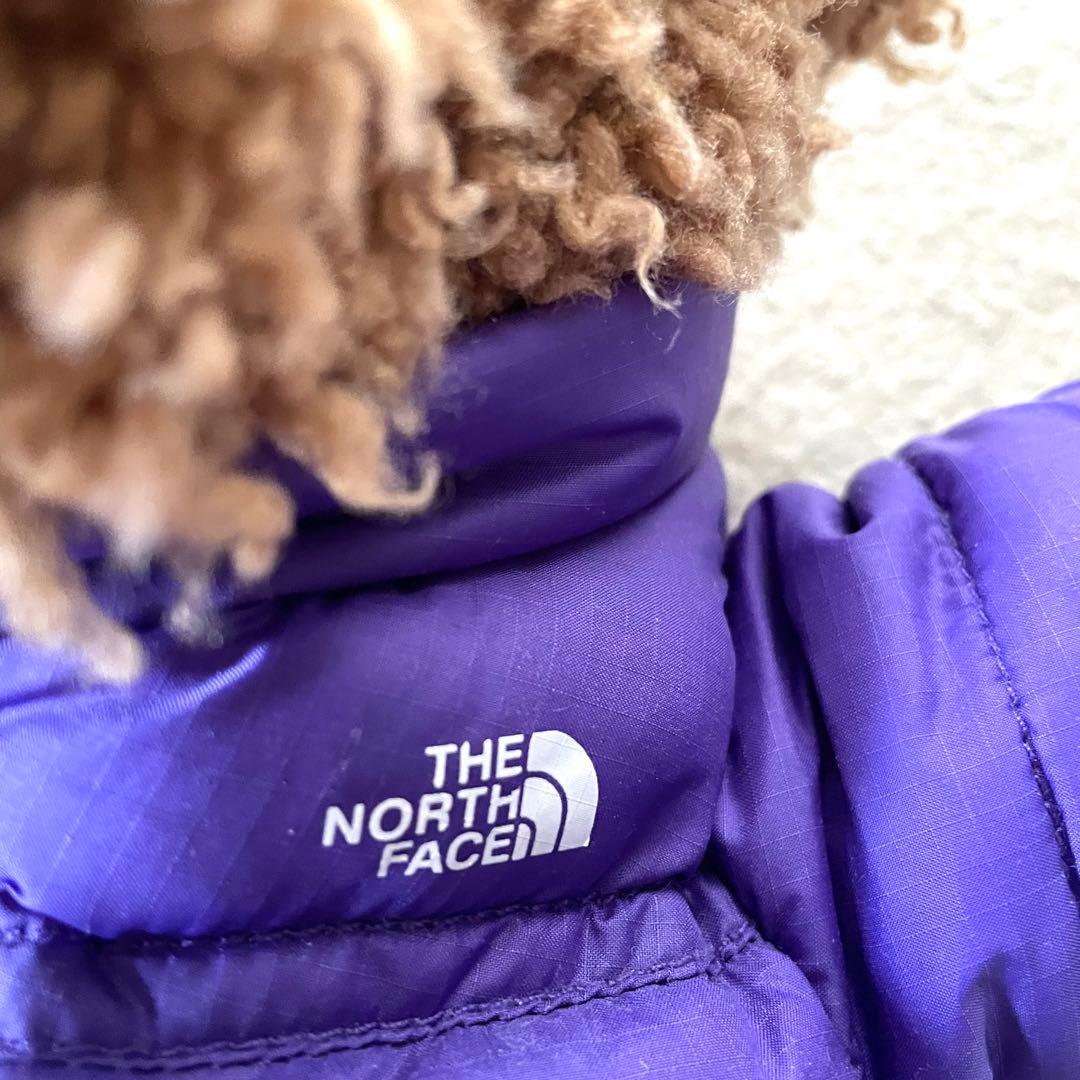 【10→20％OFF】Supreme x The North Face Bear