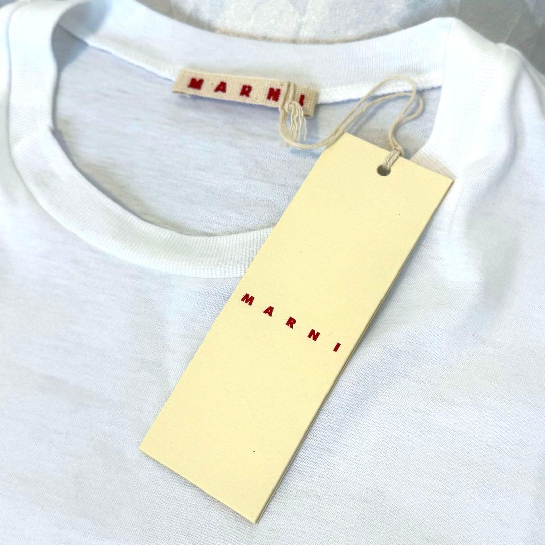 MARNI マルニ キッズ 大人もOK ロゴ ポケット Tシャツ 14Y