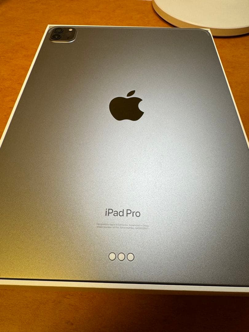 iPad Pro （11インチ）第4世代 256GB スペースグレイ