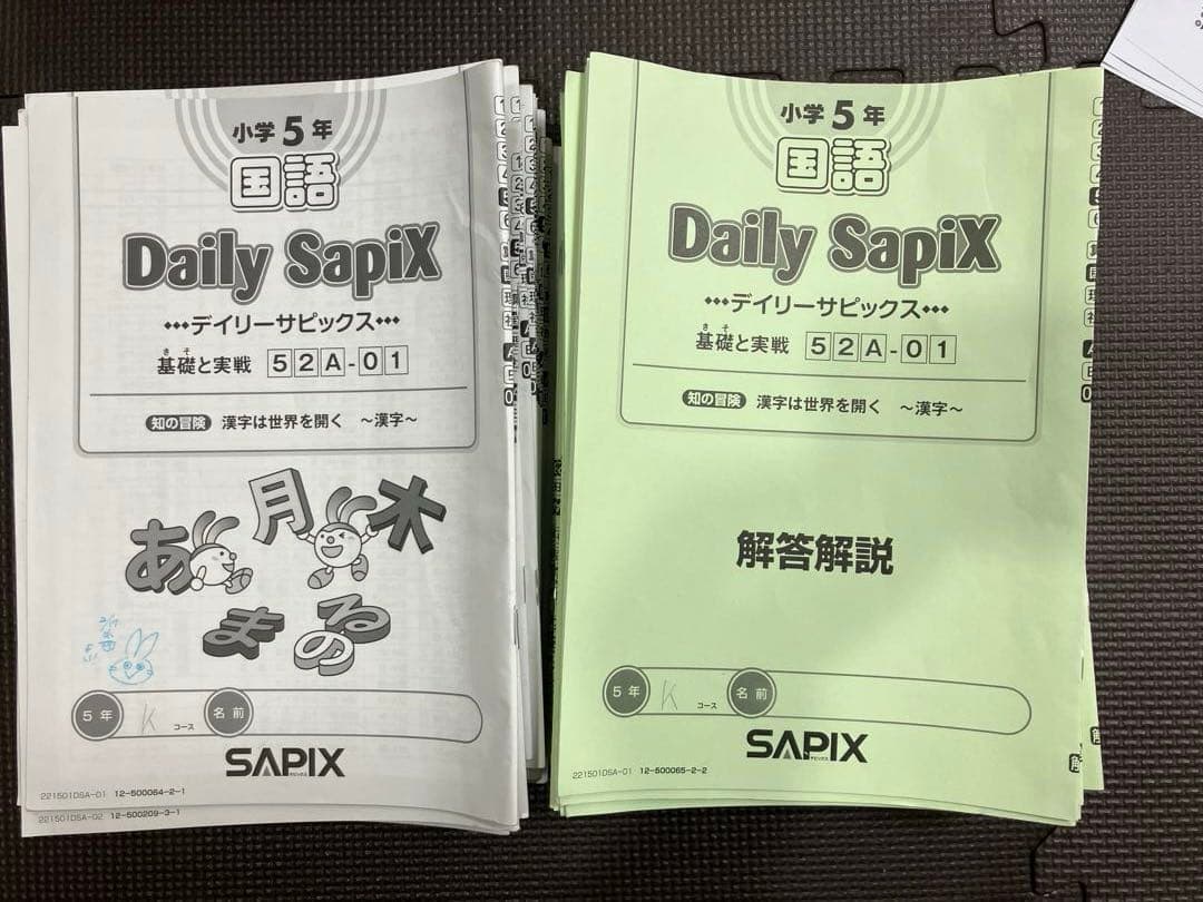 サピックス 5年 国語 小５ 1-37 全授業 一式 2023年受験　言葉ナビ
