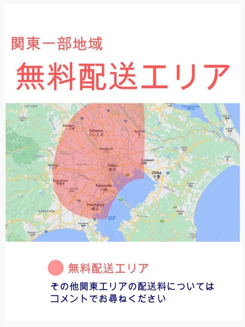 大容量パナソニックギュット子供乗せ電動アシスト自転車 ZH3000