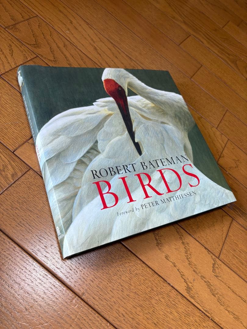 ロバートベイトマン画集【BIRDS】 洋書・野鳥画