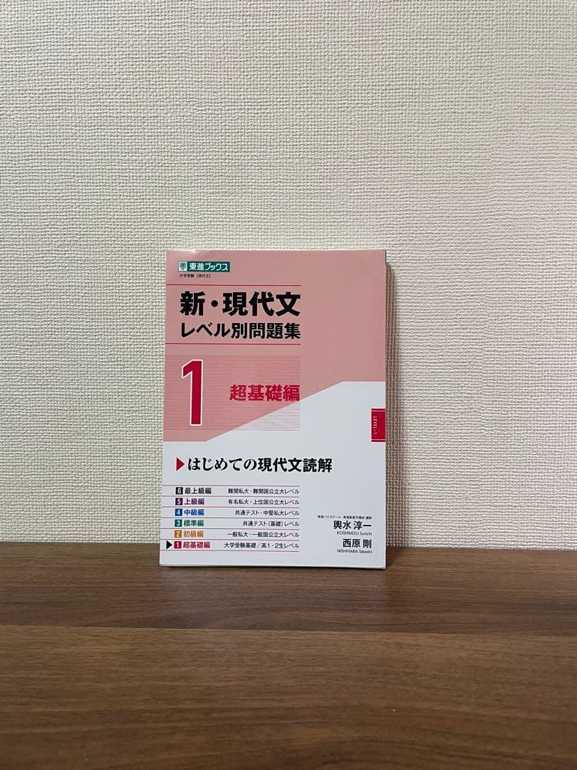 ※ほぼ半額【武田塾ルート】現代文・漢文
