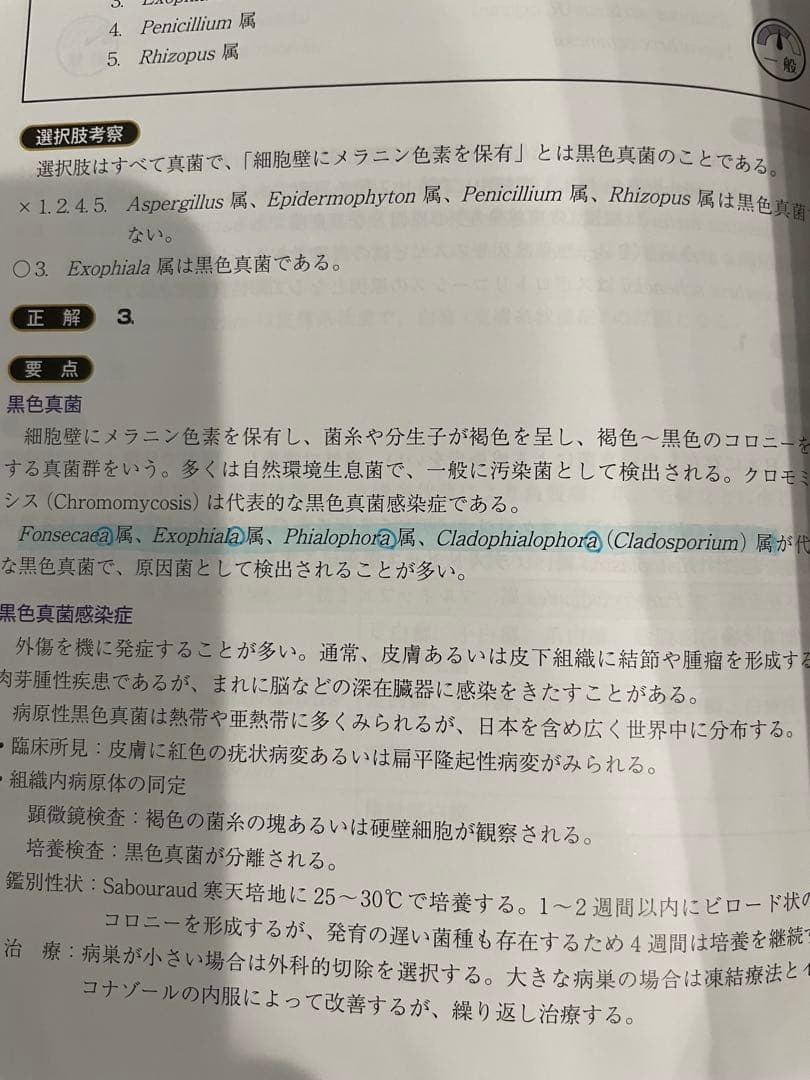 臨床検査技師国家試験解説集 Complete+MT 2025 9冊セット