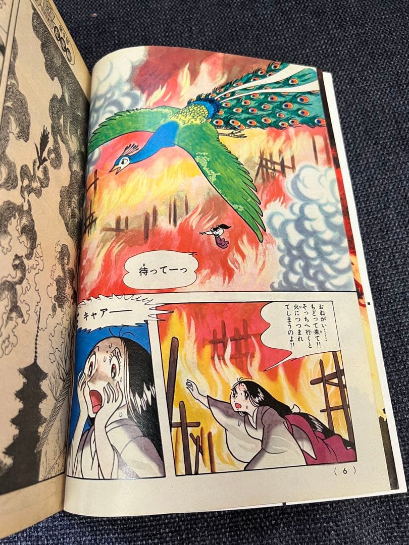 月刊マンガ少年1979年5月号 火の鳥・サイボーグ009掲載