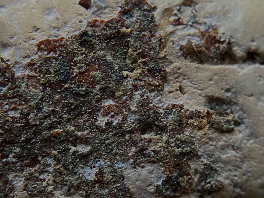 【しぶい、、中国 緑釉加彩馬俑 唐代頃】修復有り 骨董発掘出土土偶土器民藝美術