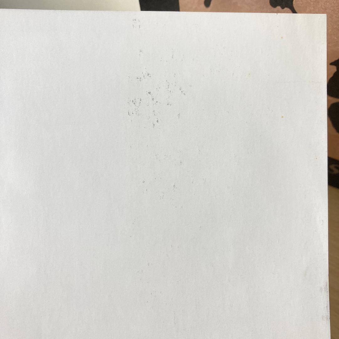G-Schmitt Sin,Secret Desire ポスター付き レコード