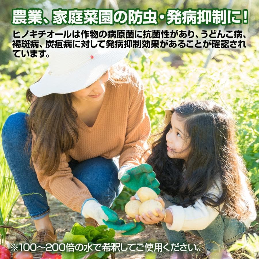 マスター　様。専用