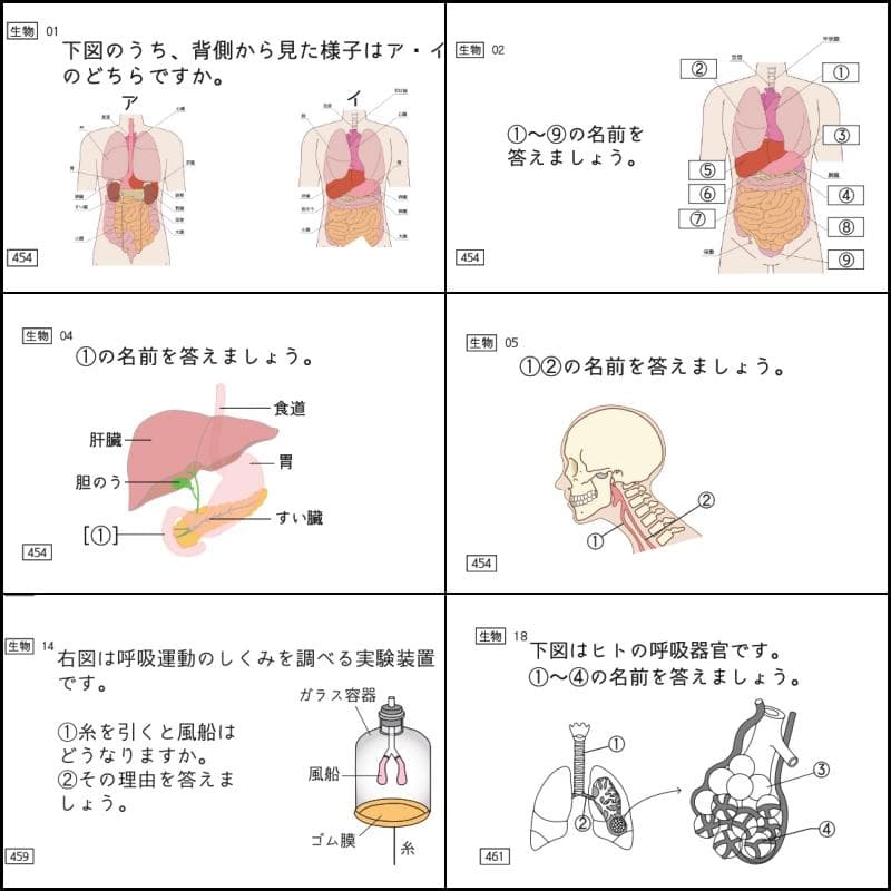 中学受験　暗記カード　理科 　生物　サピックス　予習シリーズ　コアプラス