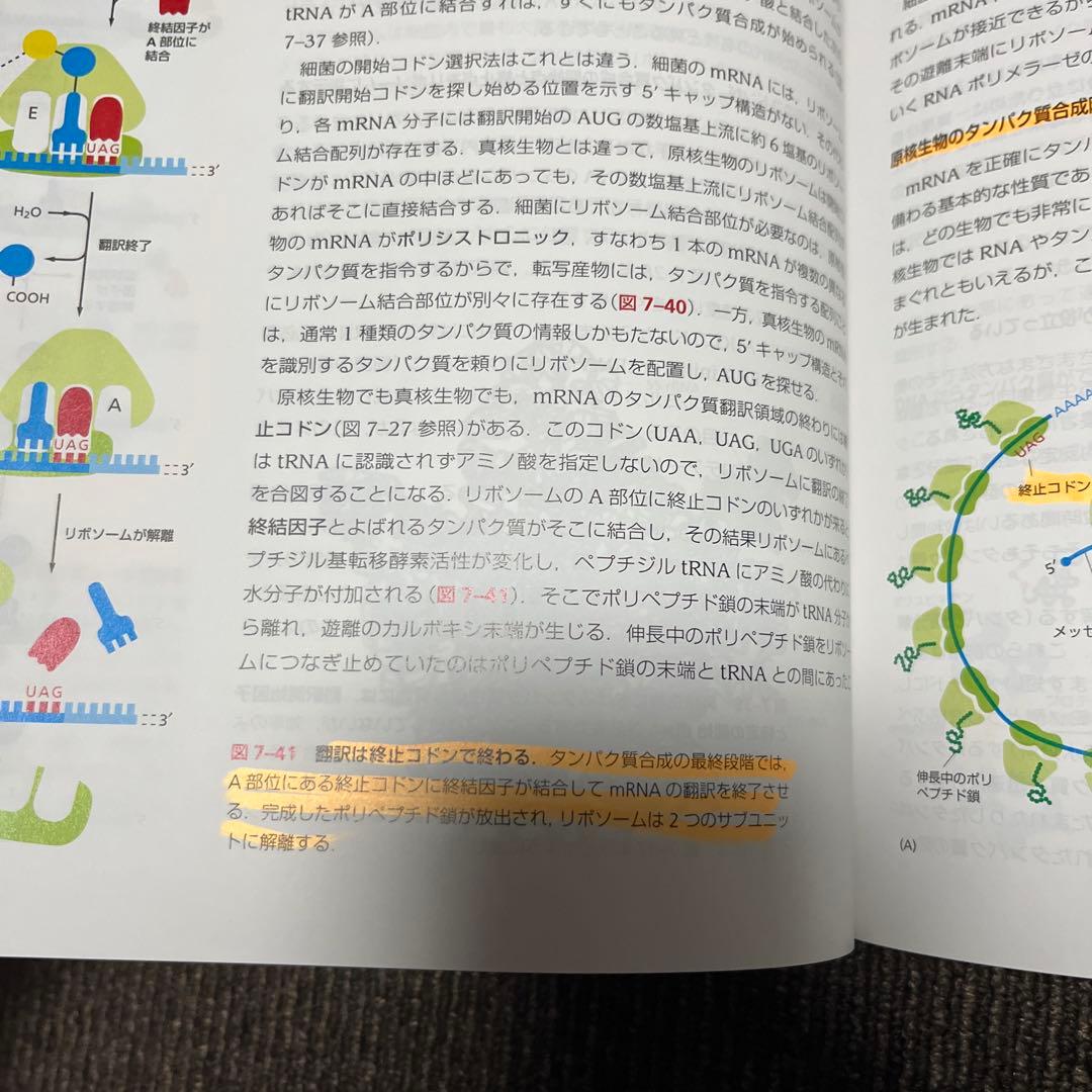 Essential細胞生物学 五訂版