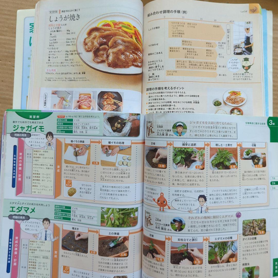 新編新しい技術家庭　家庭分野　技術分野　中学　教科書