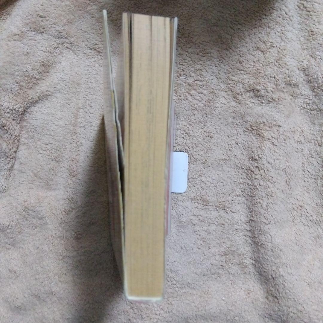 きまぐれキッチン 1巻　初版　ビッグ錠