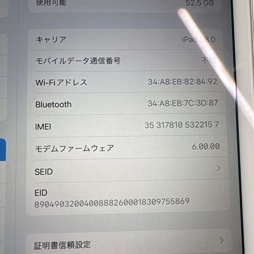 iPad mini5 セルラー 64GB SIMフリー(78)