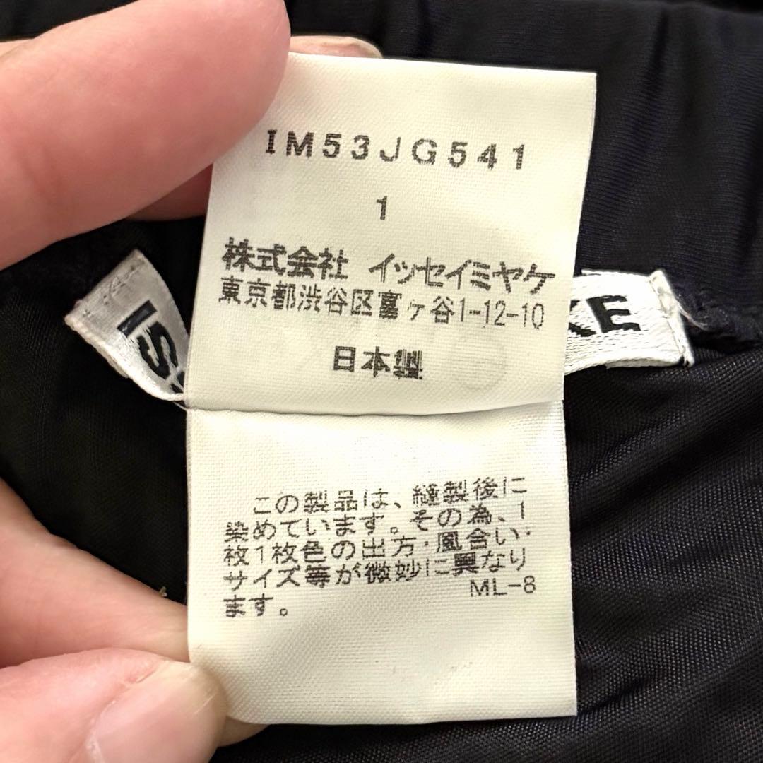 ISSEY MIYAKE イッセイミヤケ　スカート　プリーツ　ブラック　美品