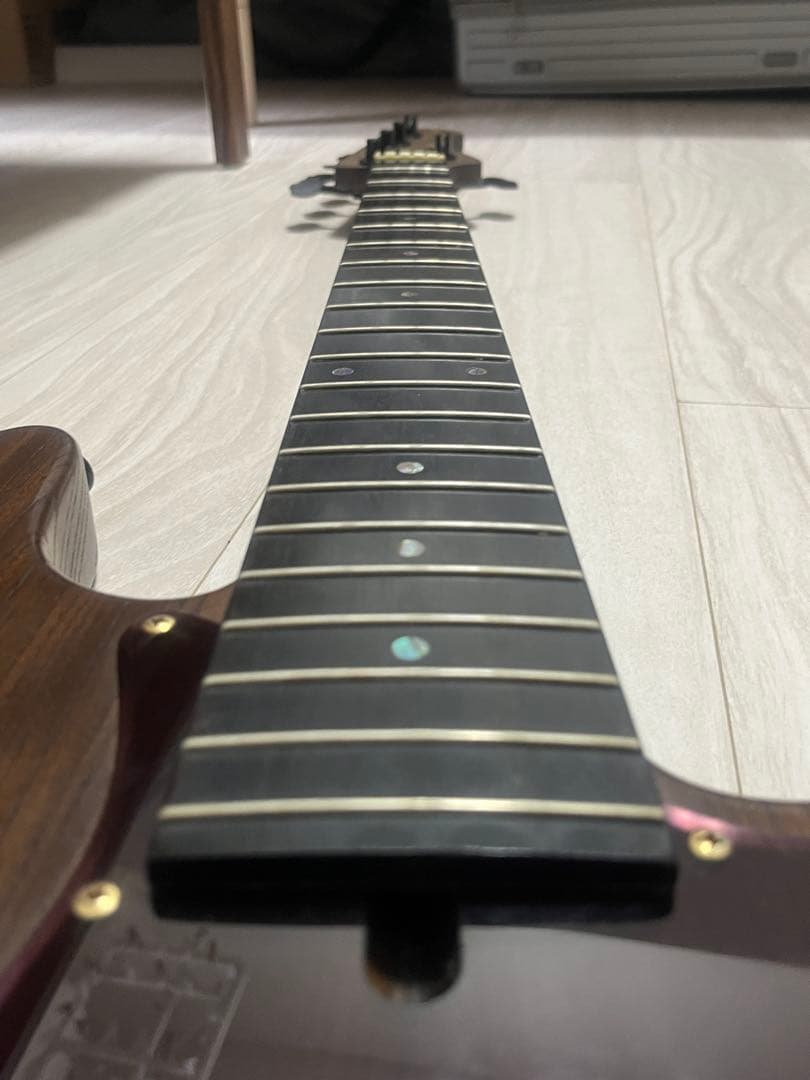 [希少限定生産] Bacchus WOODLINE DX5AC-EWC/JK