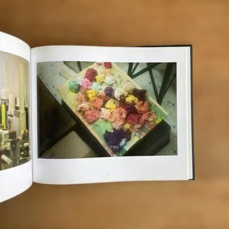 【 Sally Mann：Remembered Light】　★★未開封新品