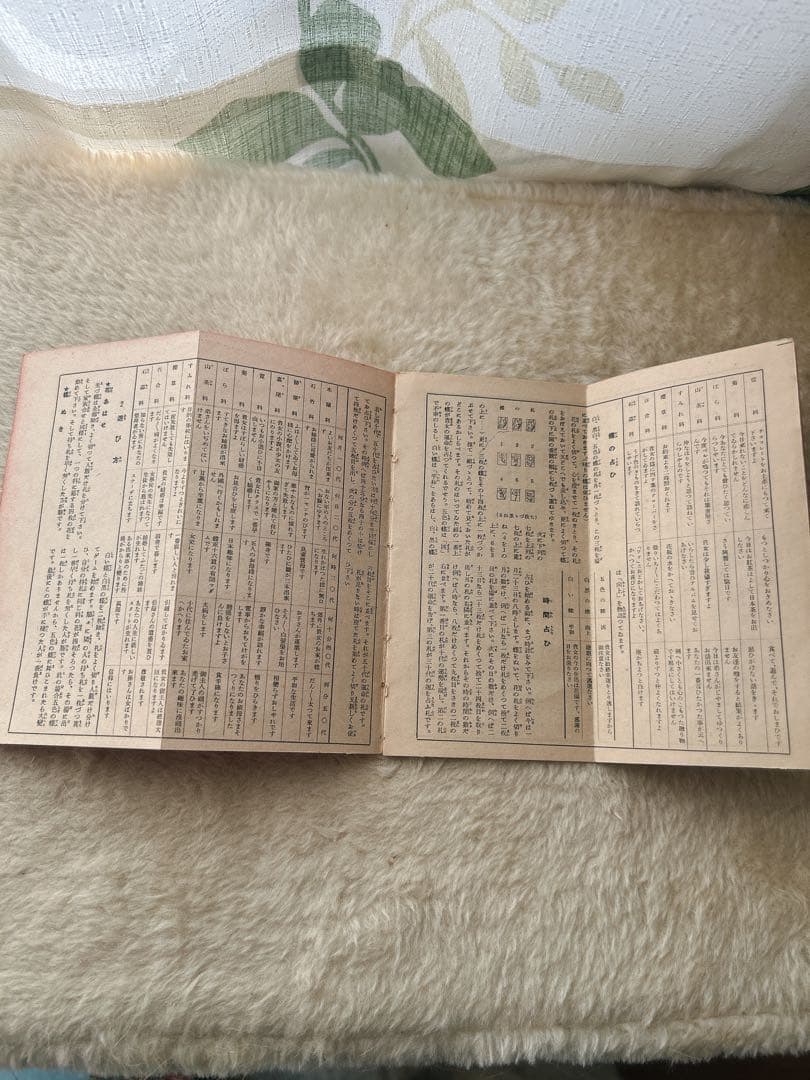少女の友 付録 花と蝶カード 全60枚 昭和レトロ　当時物