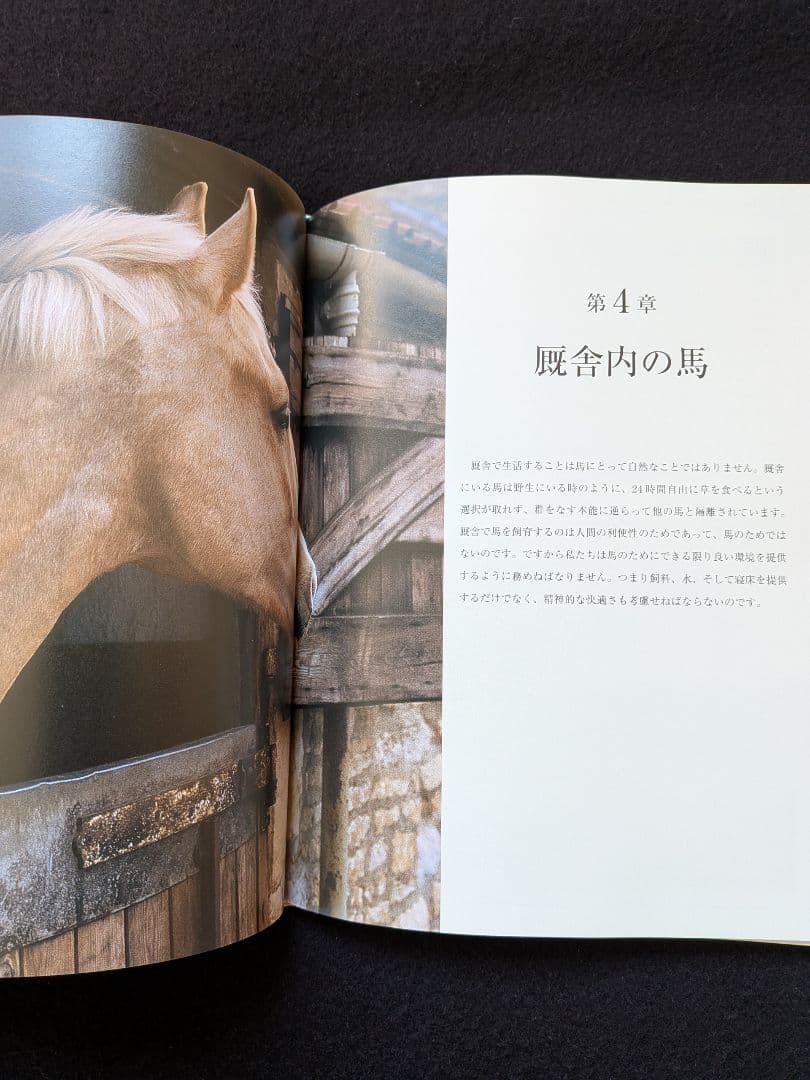 馬を飼うための完全ガイド　改訂版　飼育　管理　馬装具　手入れ　厩舎　掃除　病気