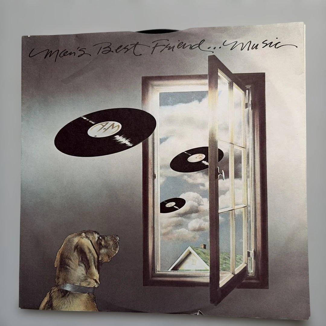 洋楽 Hummingbird Dirmond Nights