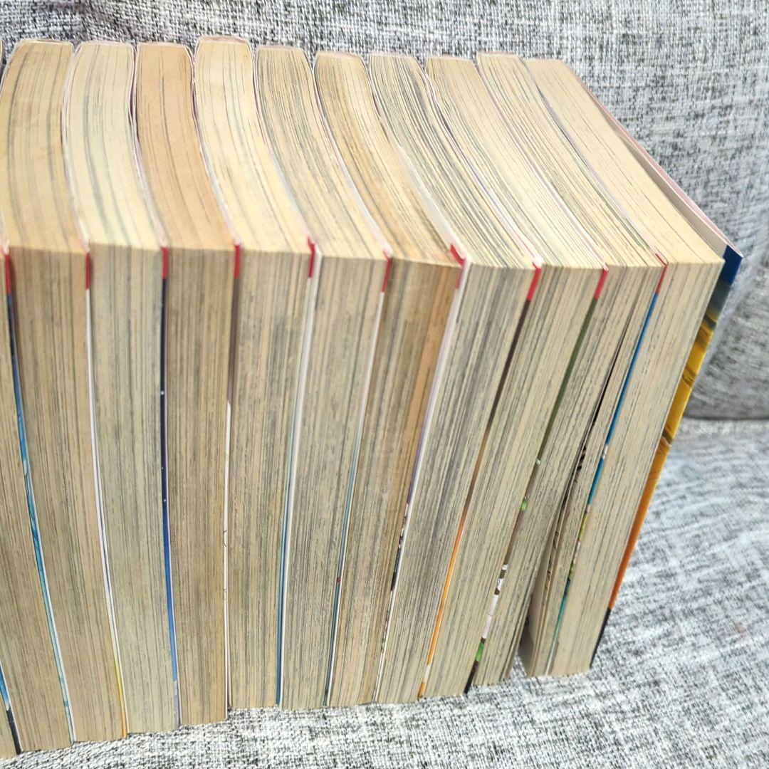 天は赤い河のほとり 全巻・ファンブック・暁に立つライオン 全３０冊セット