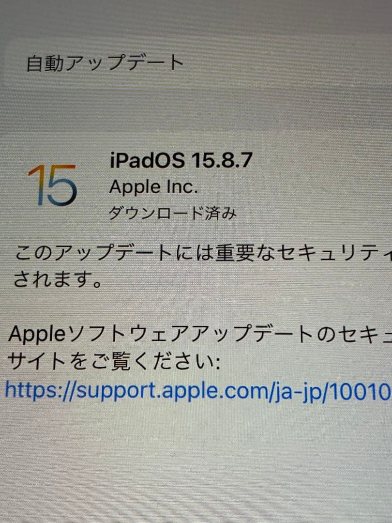 iPad mini4 128GB Wi-FiCellular 美品