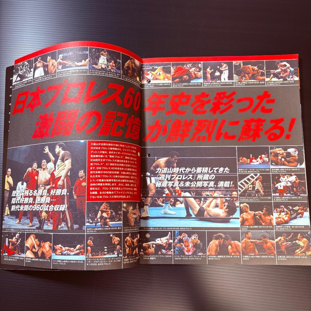 データファイル　日本プロレス　激闘60年史　２８冊　まとめ売り　週刊プロレス