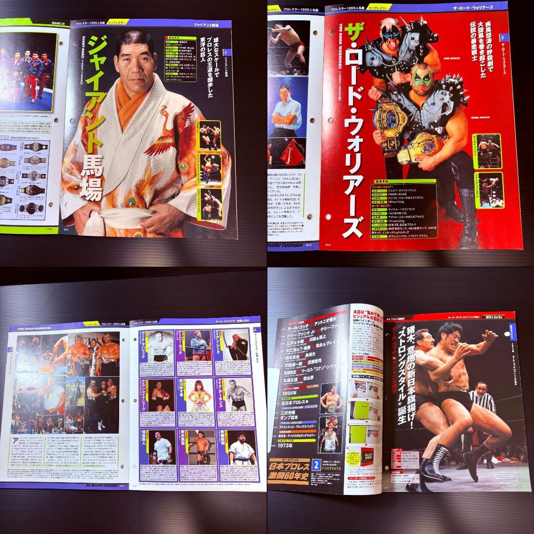 データファイル　日本プロレス　激闘60年史　２８冊　まとめ売り　週刊プロレス