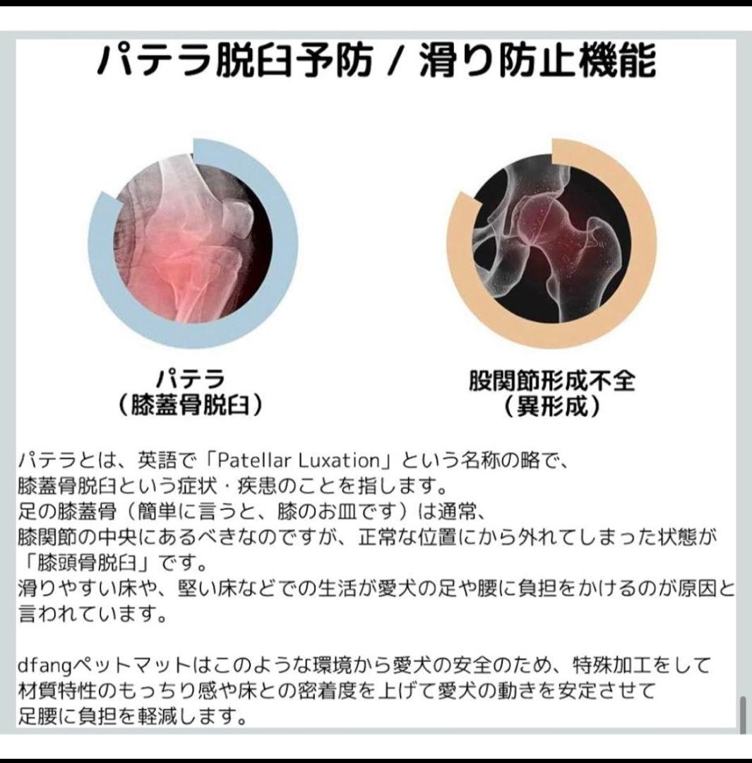 ソジュンさま専用ページdfang