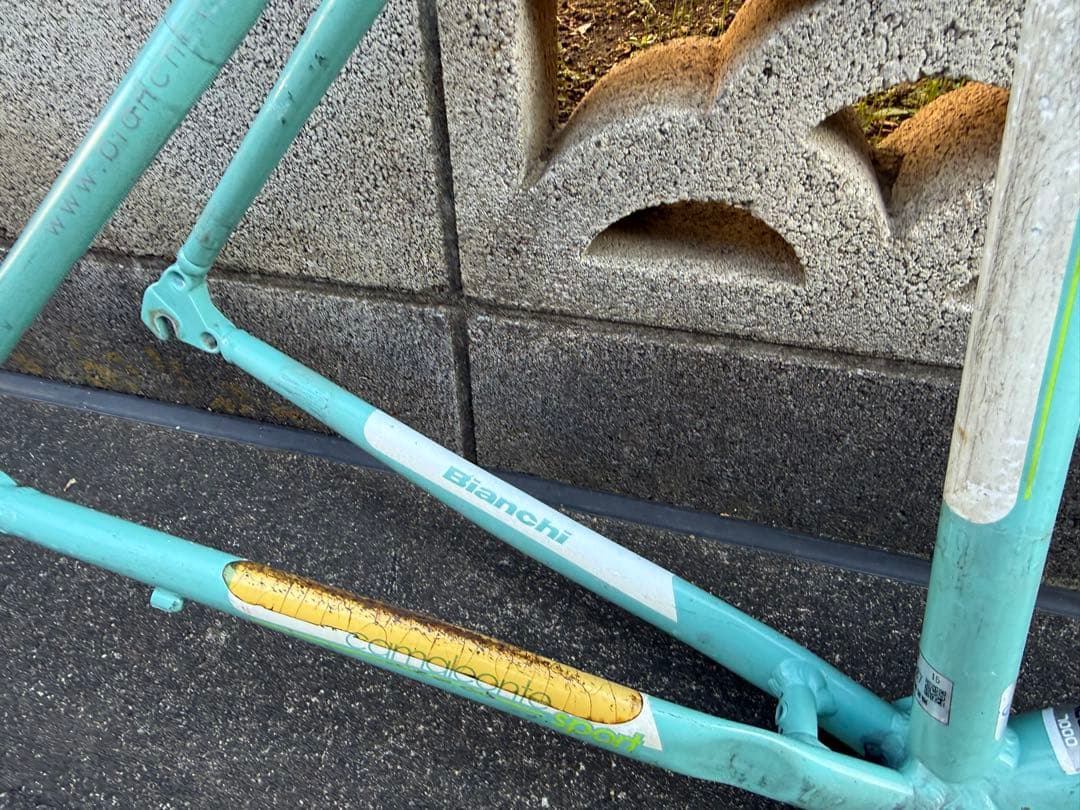 Bianchi camaleonte sport フレームセット