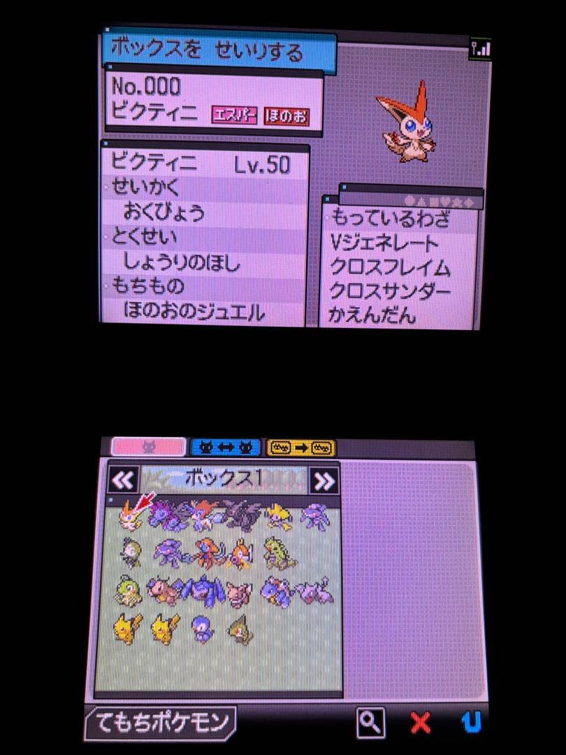 ポケットモンスターホワイト2 DS ゲームソフト　動作確認済み