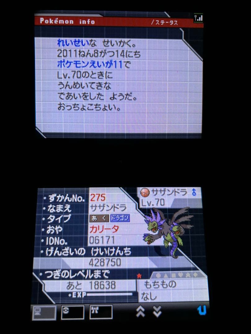 ポケットモンスターホワイト2 DS ゲームソフト　動作確認済み