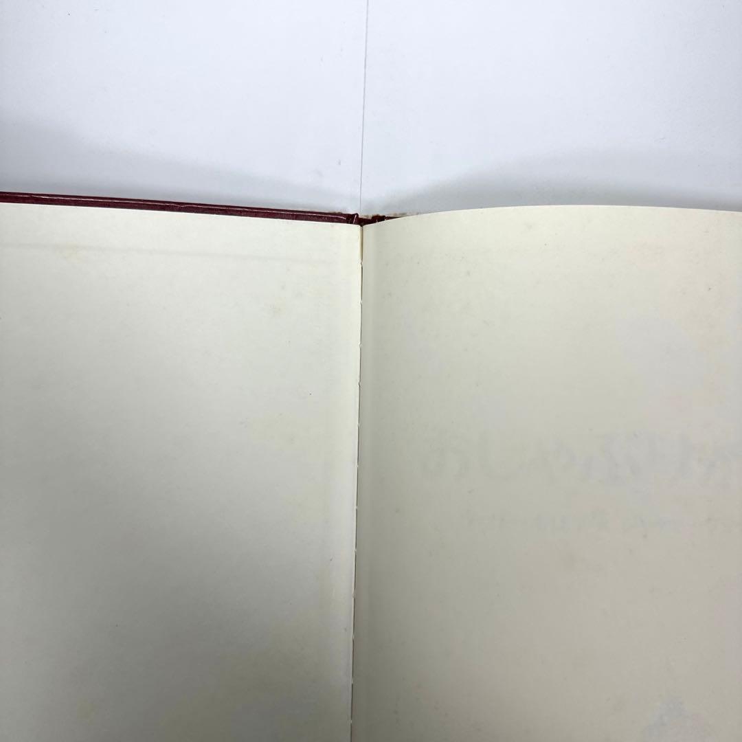 【2点購入150円引】おしゃぶりがおまもり　ウーリー・オルレブ