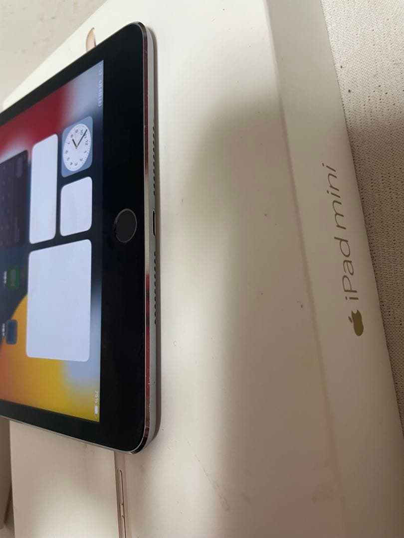 t*p様 iPad mini 4 64GB 黒 バッテリー95%