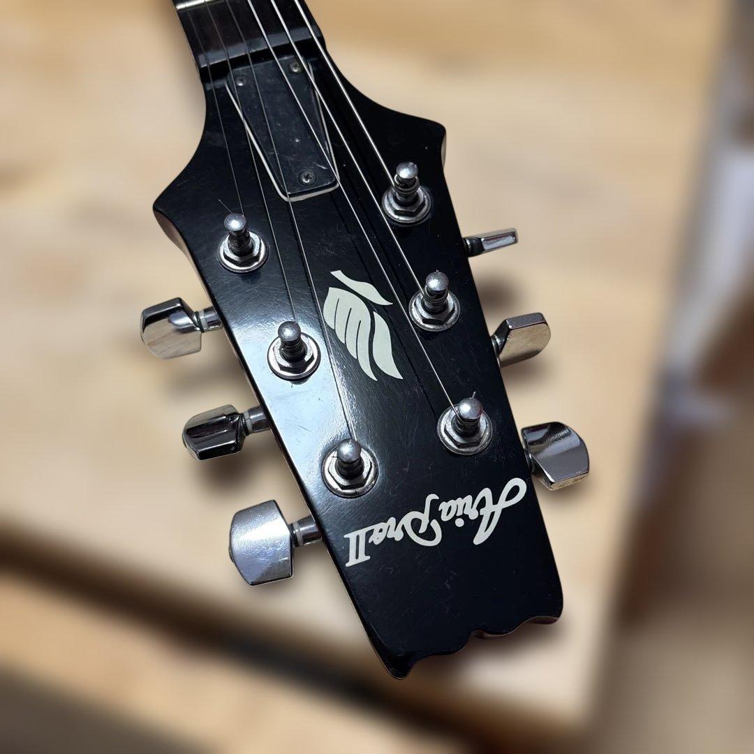 Aria pro2/PE40 (極美品) めちゃ軽-約2.6kg 良質な指板