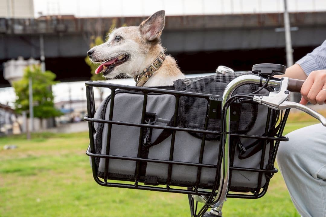 新品 電動アシスト自転車 PORTER-max　買い物 大特価!
