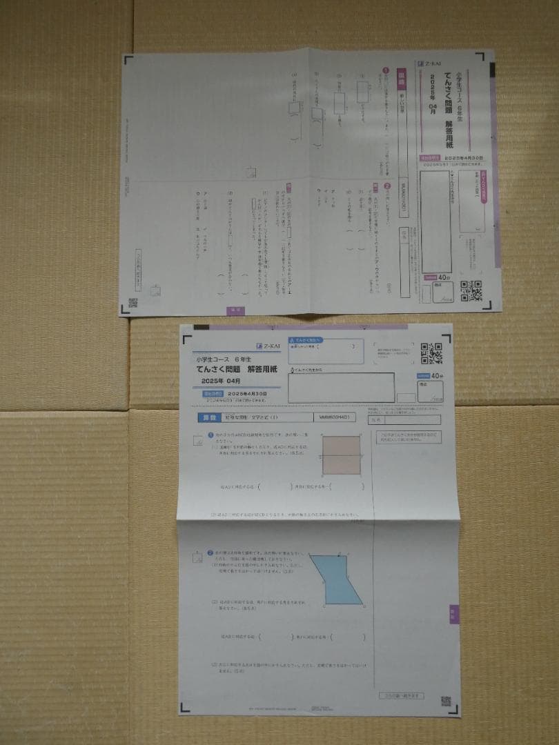 値下★Z会　小6　エブリスタディ ( 国語・算数)　2025年度　おうえんワーク