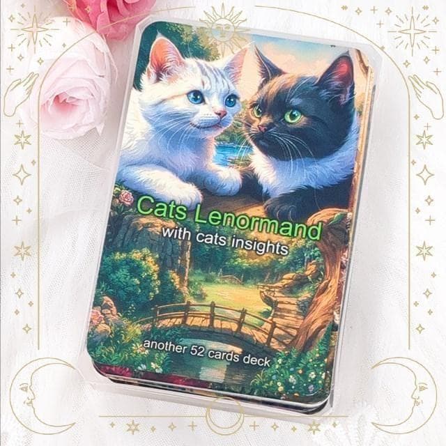 猫好きさん必見✨可愛すぎるオールねこちゃんのデッキ✨キャットルノルマンカード