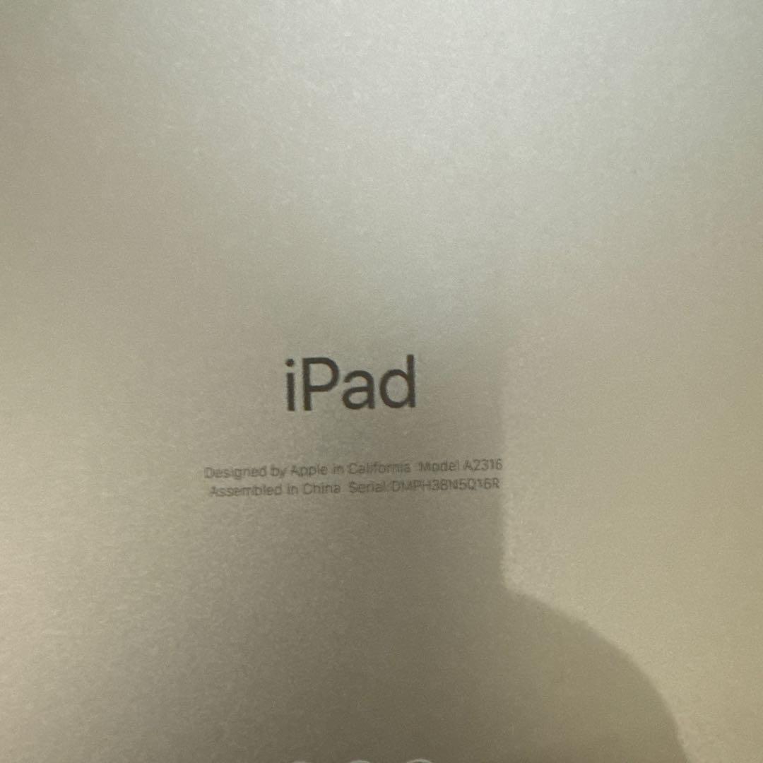 Apple iPad ゴールド