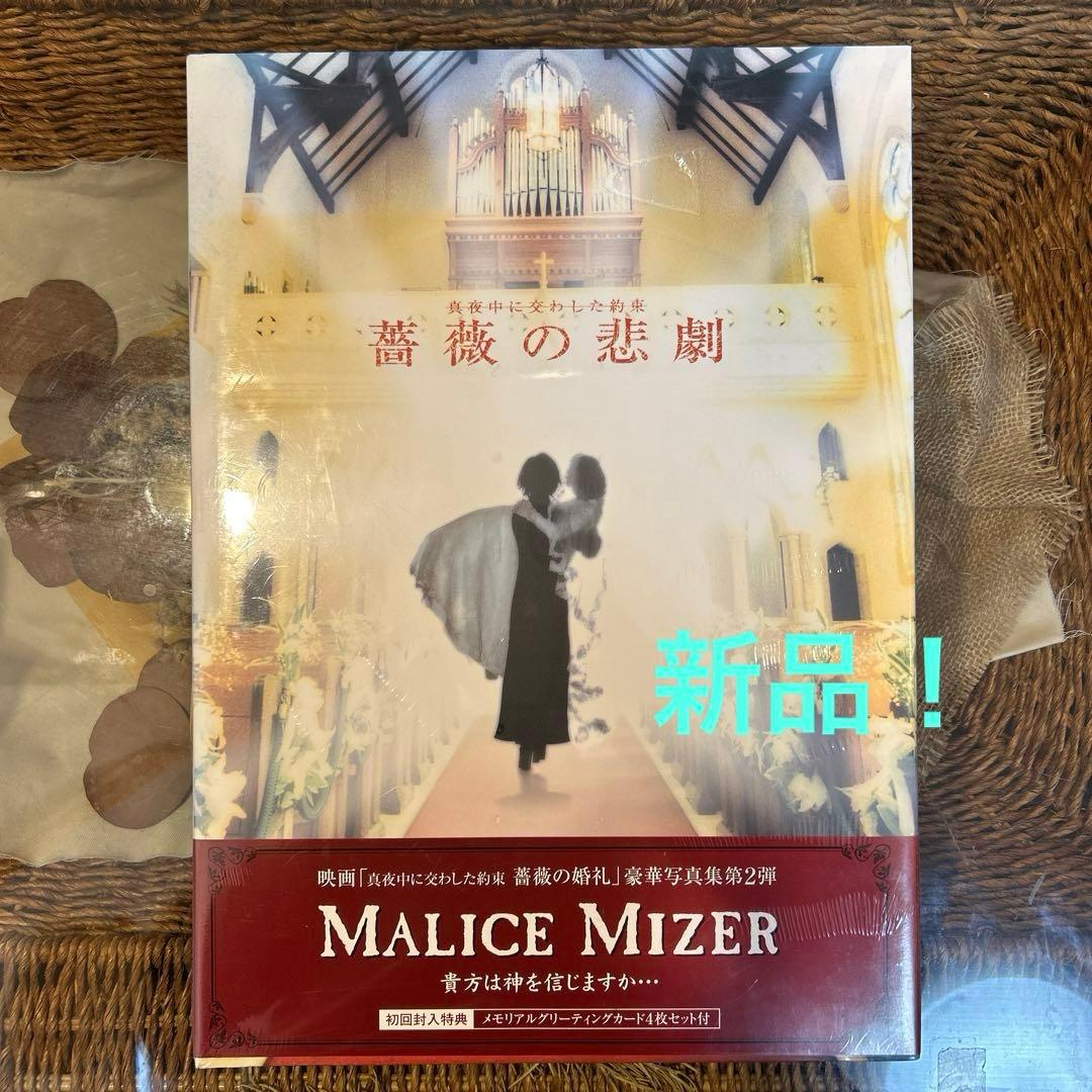 薔薇の悲劇 真夜中に交わした約束 Malice mizer 写真集