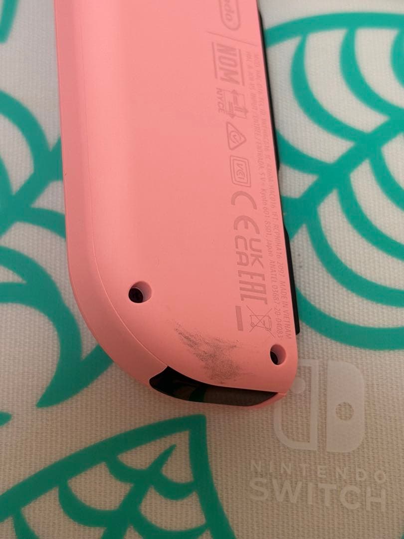 Nintendo Switch 本体　あつまれどうぶつの森モデル　付属品多数