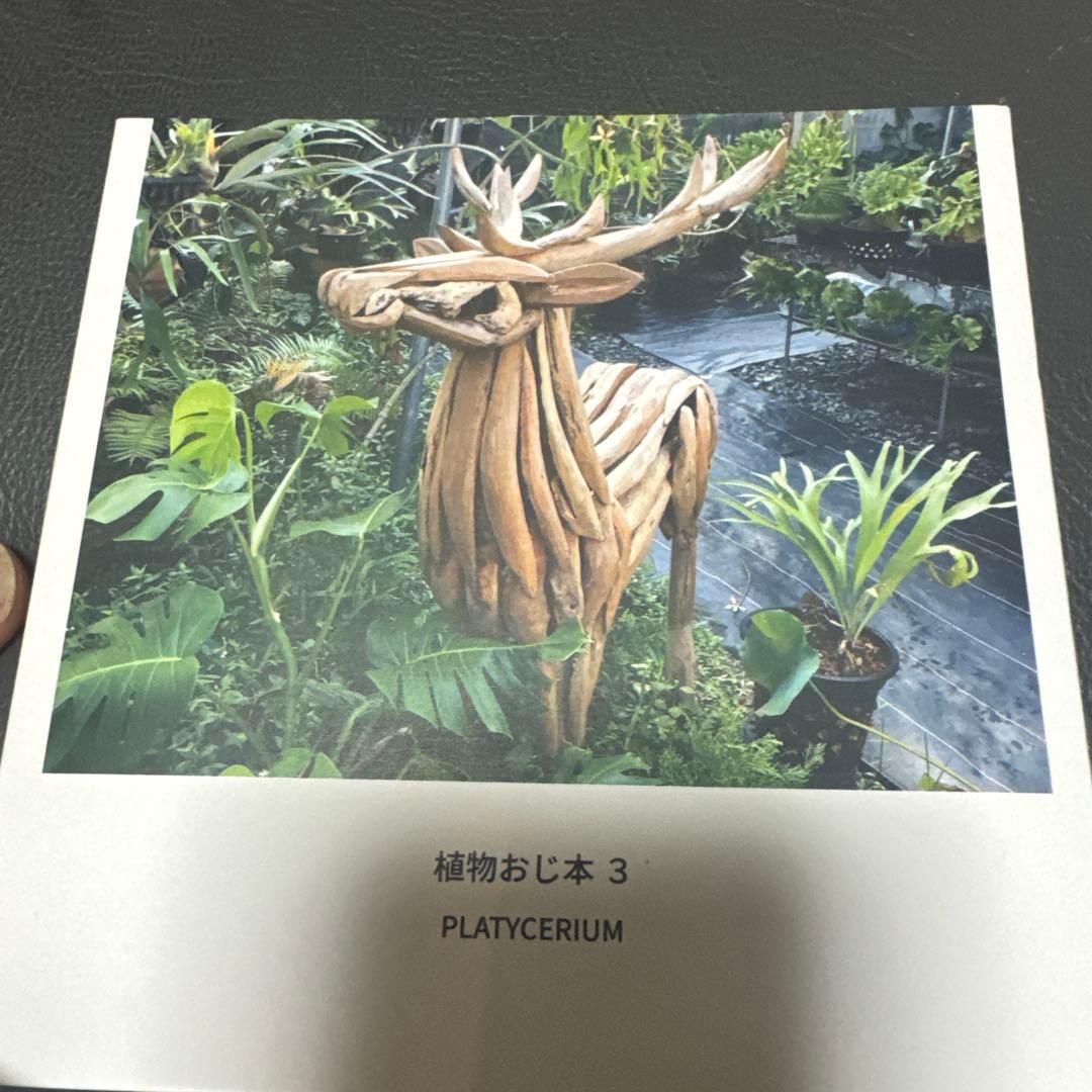 植物おじ本 7冊セット