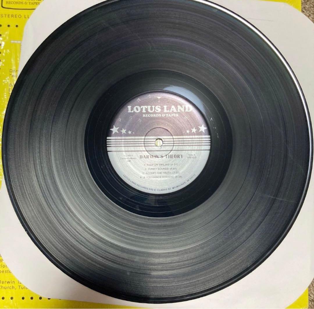 LP DARWIN'S THEORY lotus land モダンソウル