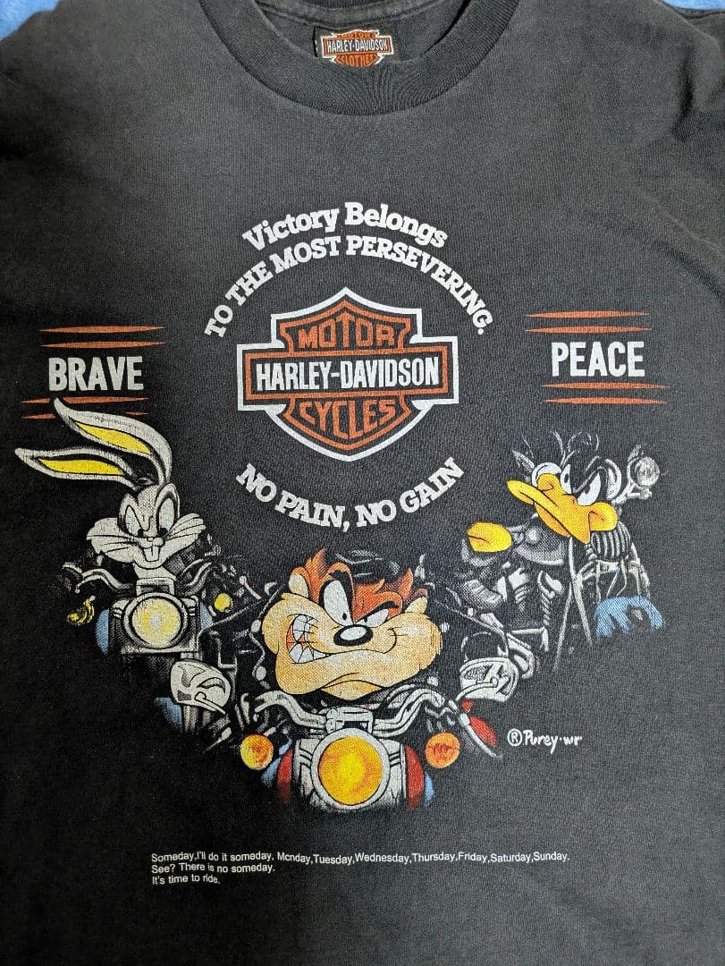 HARLEY DAVIDSON Tシャツ ネイビー フェード　XL