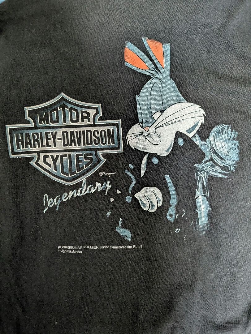 HARLEY DAVIDSON Tシャツ ネイビー フェード　XL