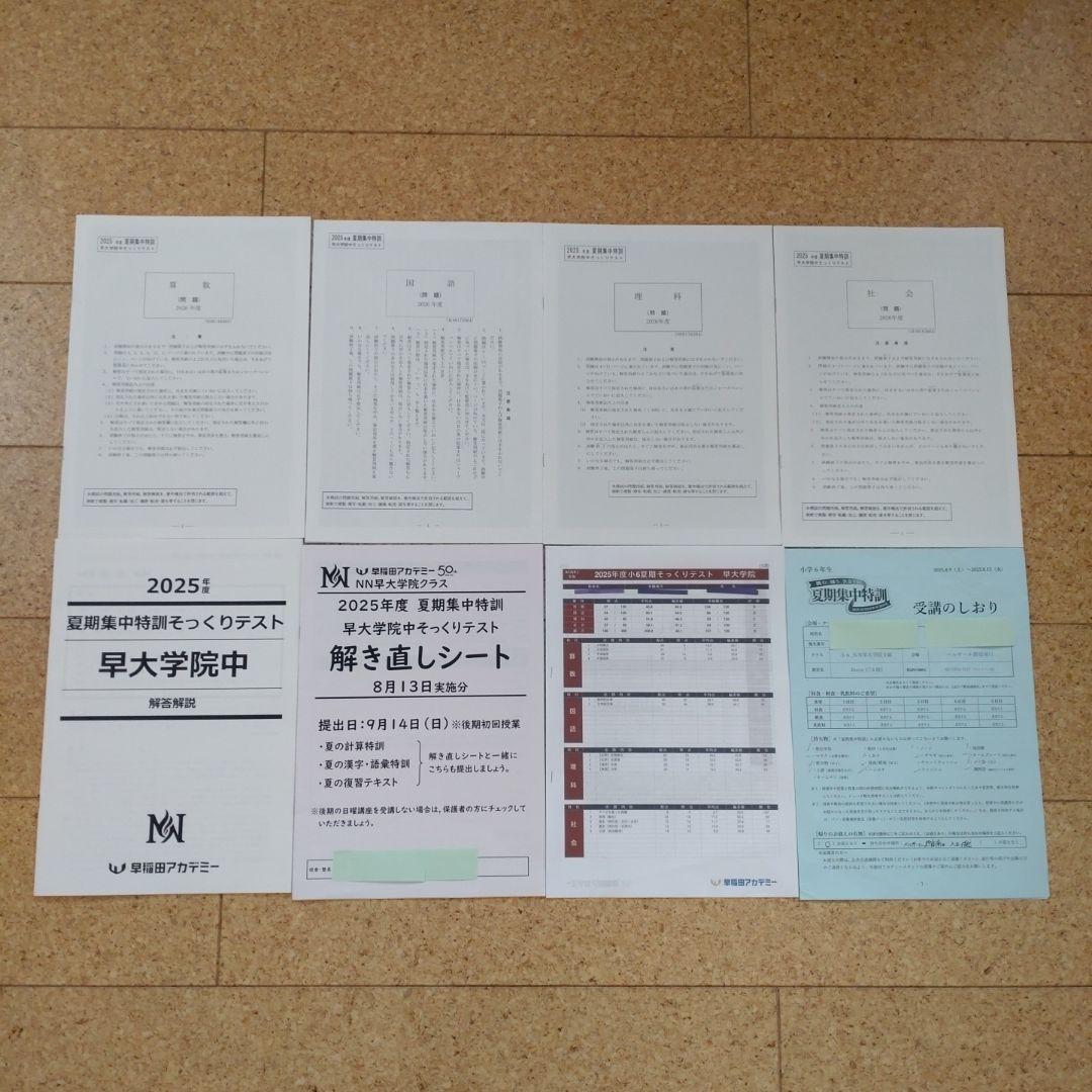 早稲アカ　NN早大学院　前期＋夏期集中特訓　そっくりテスト付き
